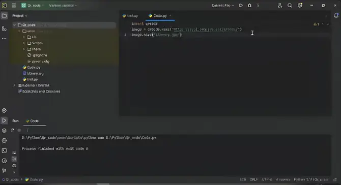 A live online Python coding session on screen share